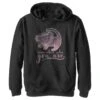 Boy's Lion King Simba Remember Who You Are Pull Over Hoodie