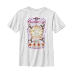 Boy's Harry Potter Chocolate Frogs T-Shirt