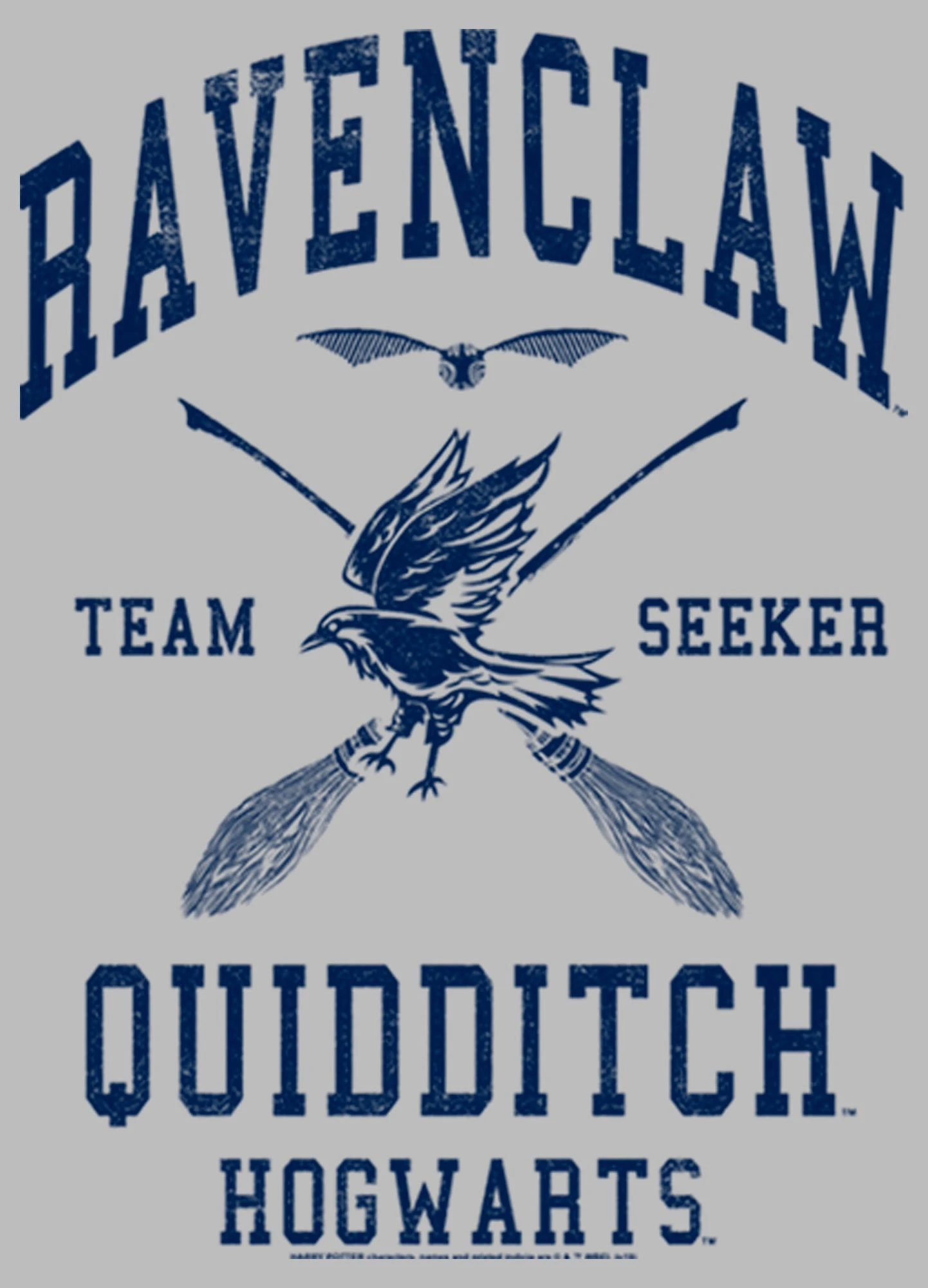 Girl's Harry Potter Ravenclaw Quidditch Seeker T-Shirt 4 Girl's Harry Potter Ravenclaw Quidditch Seeker T-Shirt - Image 2