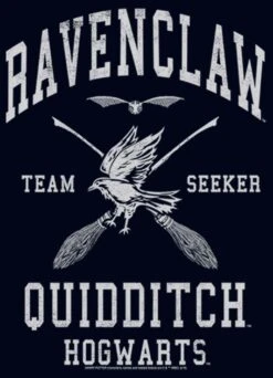 Girl's Harry Potter Ravenclaw Quidditch Seeker T-Shirt 18 Girl's Harry Potter Ravenclaw Quidditch Seeker T-Shirt -Fifthsun Shirts 19WBHH00051B 007 Ravenclaw Quidditch Seeker 125 swatch