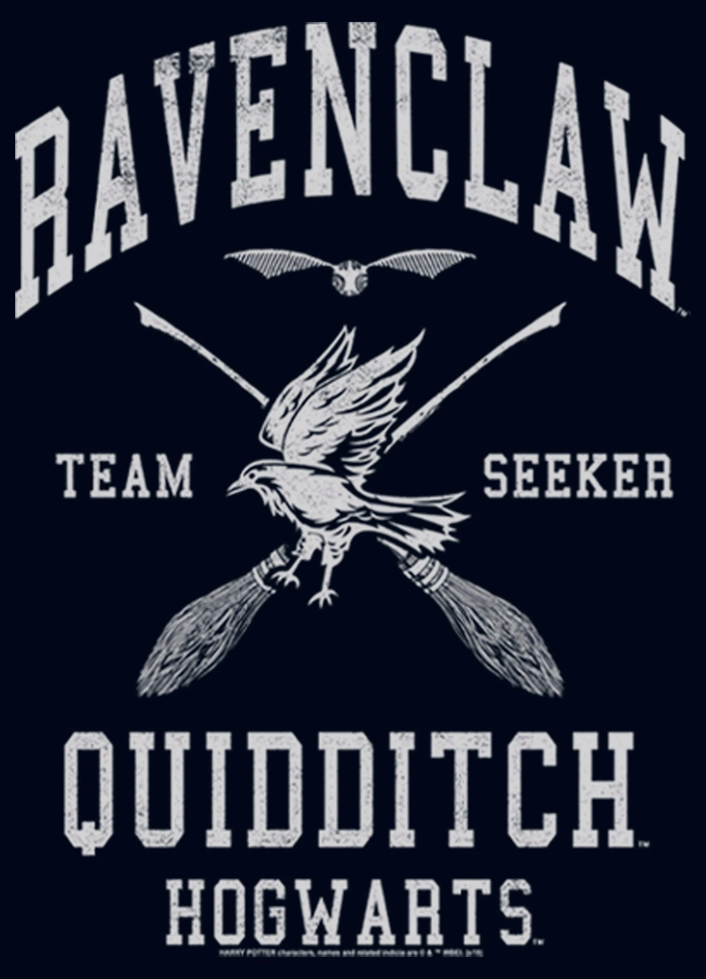 Girl's Harry Potter Ravenclaw Quidditch Seeker T-Shirt 7 Girl's Harry Potter Ravenclaw Quidditch Seeker T-Shirt - Image 5