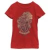 Girl's Harry Potter Gryffindor Coat Of Arms T-Shirt
