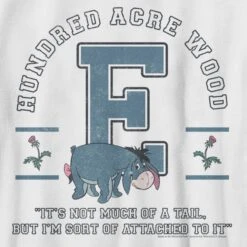Boy's Winnie The Pooh Eeyore 100 Acre Woods Jersey T-Shirt -Fifthsun Shirts 19dnwp00014a 006 eeyore collegiate 125 148 swatch