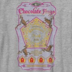 Boy's Harry Potter Chocolate Frogs T-Shirt -Fifthsun Shirts 19wbhh00032a 013 chocolate frogs 141 147 swatch